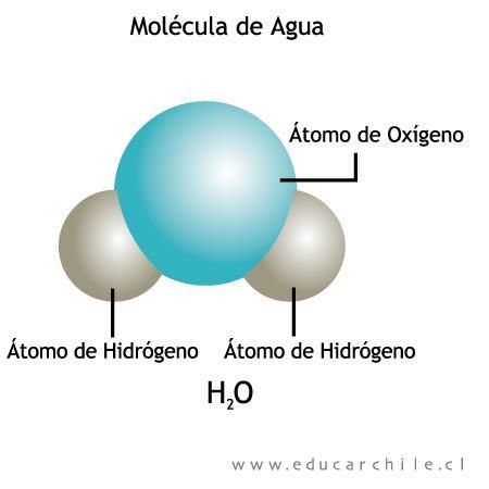 COMPUESTOS INORGANICOS AGUA Es una de las moléculas inorgánicas más importante.