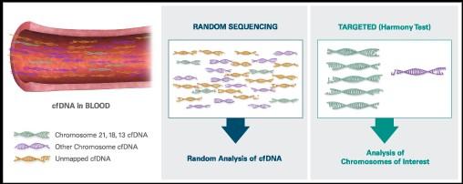 Test de DNA fetal (DNAfe) extracelular Determinación del número de copias de cromosomas concretos (21, 18, 13, X e Y) en fragmentos de DNAfe circulantes en sangre materna Métodos de análisis: Shotgun
