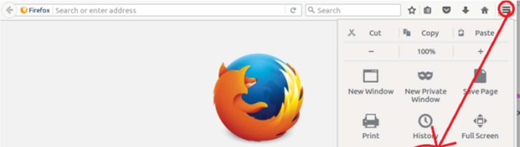 Figura 10 Configuración de Firefox en