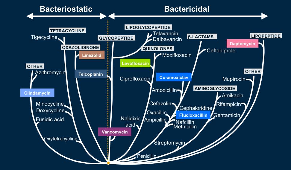 Actividad relativa bactericida y bacteriostática de los