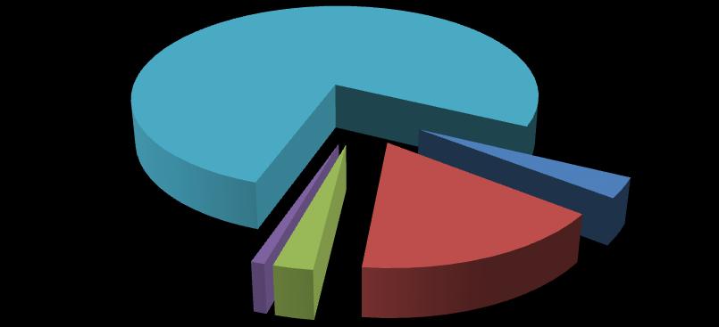 GRAFICO N 46 SD (en blanco), 76.93% I II III IV SD (en blanco) IV,.88% III, 2.54% II, 16.42% I, 3.23% En la presente tabla y grafico observamos que el 76.