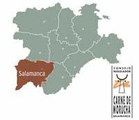 -IGP Carne de Morucha de Salamanca Exige animales de la raza Morucha en pureza, criados en extensivo y semiextensivo en las dehesas de la provincia de Salamanca, con una alimentación natural a base