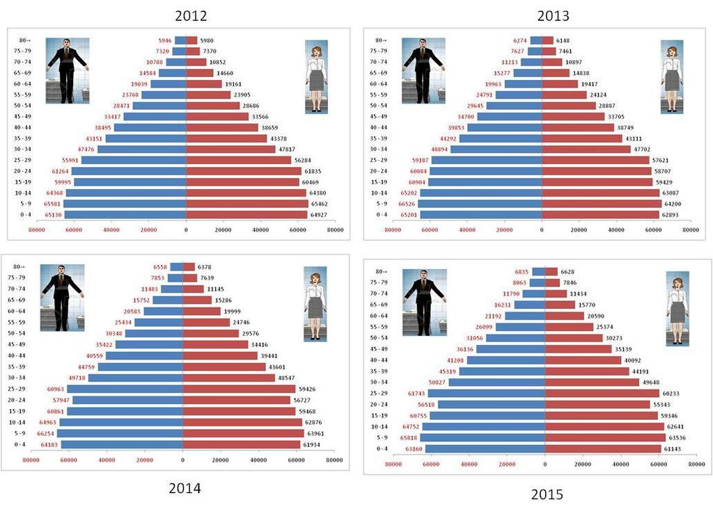 2.1.2 Composición poblacional Gráfico N 04 Pirámide Poblacional Dirección Regional de Salud Cusco, 2012-2015 Fuente: INEI-PERÚ: Estimaciones y Proyecciones de la Población Departamental por años