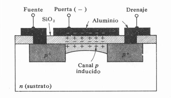 EL TRATOR MO MO: Metl Oxide emiconductor Los trnsistores de efecto cmpo de puert isld de cumulción tienen l crcterístic de presentr un nul con 0, lo cul es interesnte pr trbjr en conmutción.