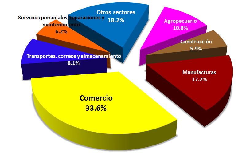 La desagregación de la Economía Informal por sector de actividad económica, SCIAN 2007, muestra que es el Sector Comercio el que tiene la mayor participación, siendo del 33.