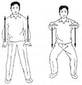 1. Forma Inicial Eleve los brazos hasta la altura de los hombros: gire las palmas hacia atrás dedos hacia abajo levemente flexionados eleve el cuerpo suba los brazos hasta la altura de los hombros