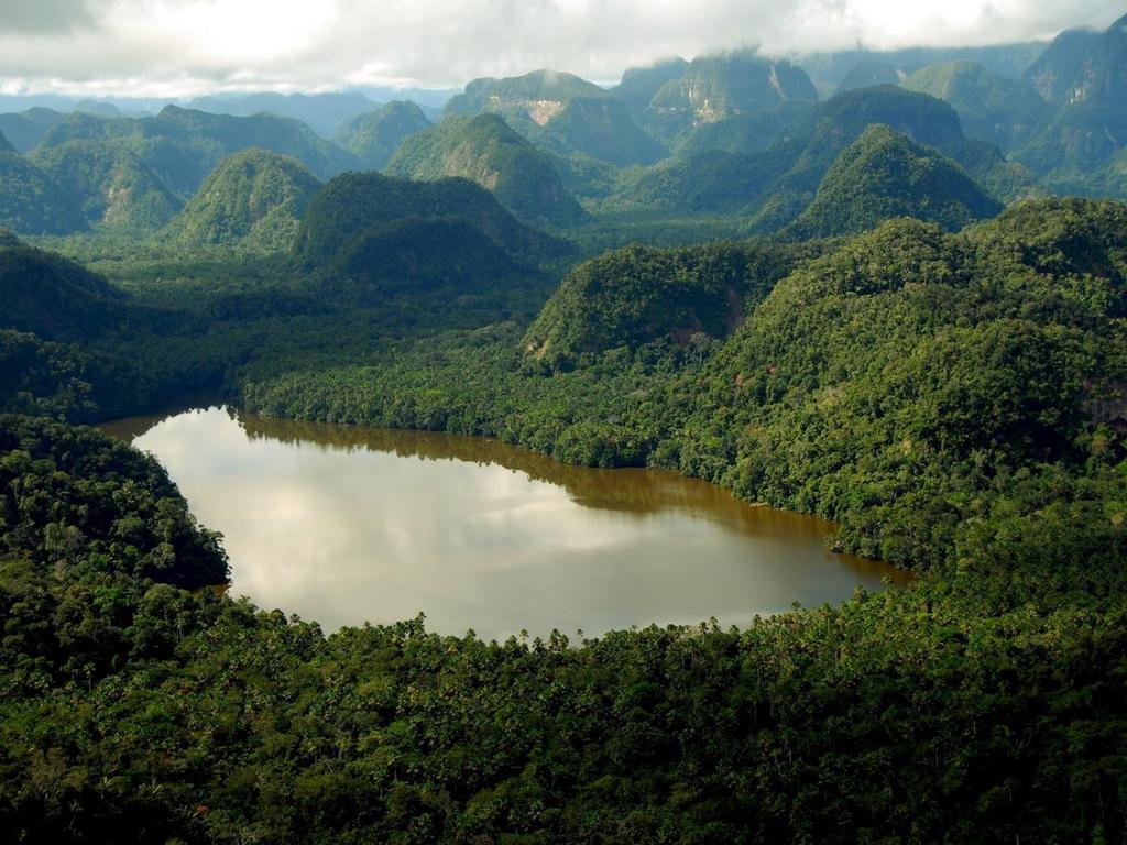 Parque Nacional Cordillera Azul Área*: 1 353,190.