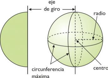 .- Altura h : línea perpendicular que une los dos centros de las bases..- Generatriz g : coincide con la altura..- Radio r : es el radio de la base (círculo). 7.