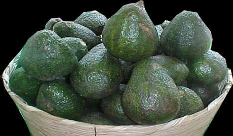 Frutas Aguacate criollo, grande (red de 90 a 100 unidades) Cuadro 1. Precio promedio semanal Precio promedio (Quetzales) Variación 128.33 121.67-6.66-5.