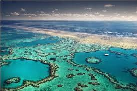 ARRECIFE DE BARRERA El Gran Arrecife de Barrera de Australia es el mas grande, mide unos 1,200 Km. y ha sido el mas estudiado.