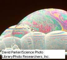 LA LUZ BLANCA ES UNA MEZCLA DE LONGITUDES DE ONDA A menudo pueden verse franjas coloreadas en la superficie de las burbujas de jabón.