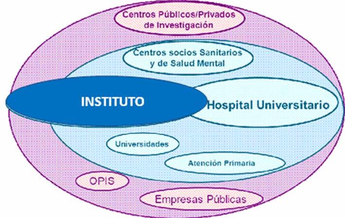 Modelo de Gobernanza Los Institutos de Sanitaria deben conseguir la unidad de acción entre los órganos de gobierno, dirección y gestión de las instituciones que lo integran.