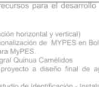 Concentración e Internacionalización de MYPES en Bolivia. 3. Sistema de Innovación para MyPES. 4.