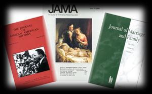 Revistas académicas (journals) Light, M. A., & Light, I. H. (2008).