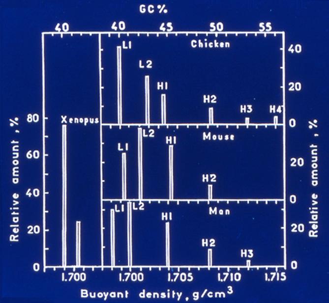 Histogramas que muestran las cantidades relativas, densidades de flotación