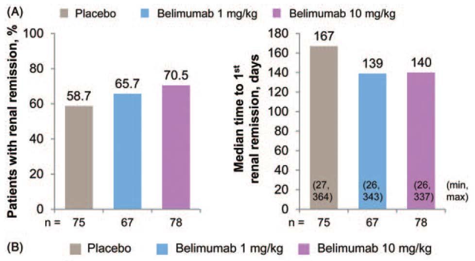 Belimumab Effect of belimumab treatment on renal outcomes: results from the phase 3 belimumab clinical