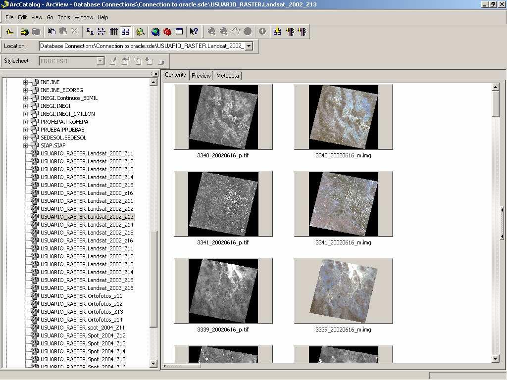 Nuestra Meta: Ingresar 984 imágenes de Satélite Landsat 7 ETM+ De Cobertura Nacional de los años 2000, 2002 y 2003.