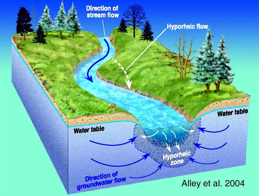 1. Cómo funciona un río?