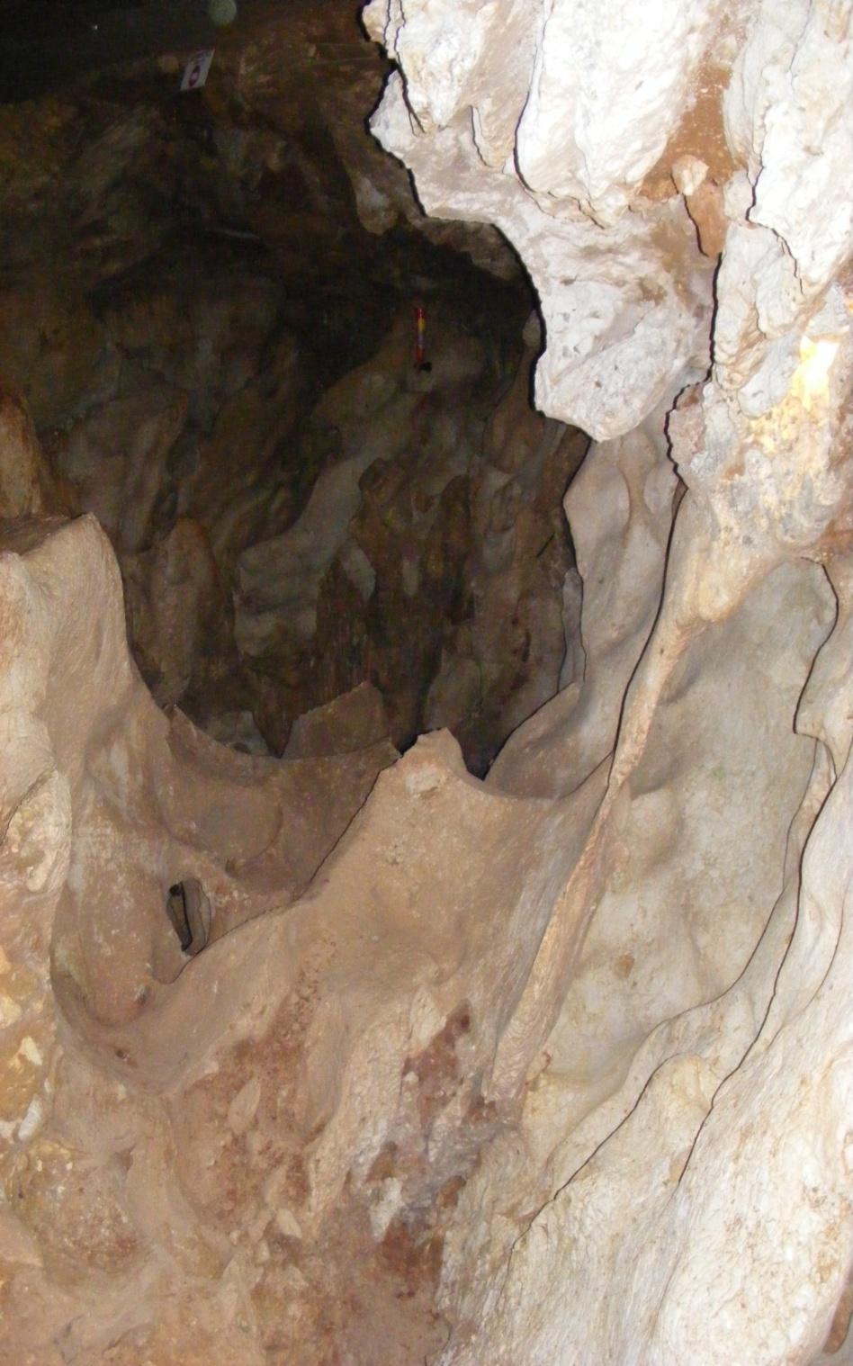8310 Cuevas no explotadas por el turismo Cuevas continentales cerradas al turismo, incluyendo los sistemas hidrológicos subterráneos, que albergan organismos muy especializados o endémicos, o