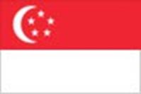 46 Barrichello SINGAPUR: -País: República de Singapur - Debut en F1: 2008 - Nº