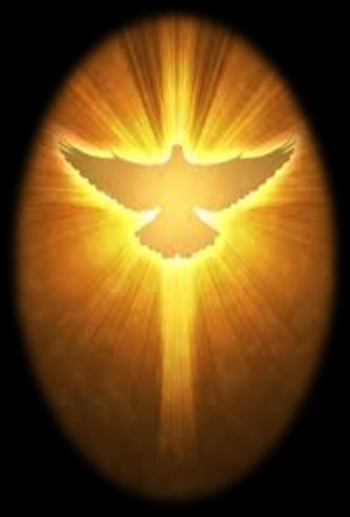 El Espíritu Santo con su gracia es el primero que nos despierta en la fe y nos inicia en la vida nueva.