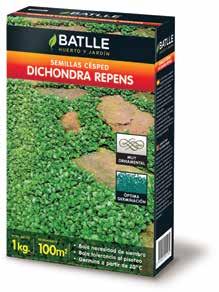 Semillas Césped Dichondra Repens Especie tapizante que crea un manto verde formado por pequeñas y compactas hojas acorazonadas, ideal para zonas de bajo