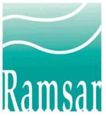 Algunas características clave de la Convención Ramsar No está bajo el sistema de la ONU gobernado por las Partes Reconoce que los humedales (bienes y servicios) son vitales para el bienestar humano