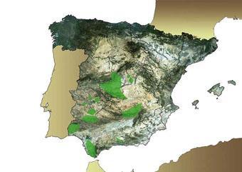 Portugal; desaparecieron también las poblaciones al norte de la Sierra de Guadarrama y del este peninsular.