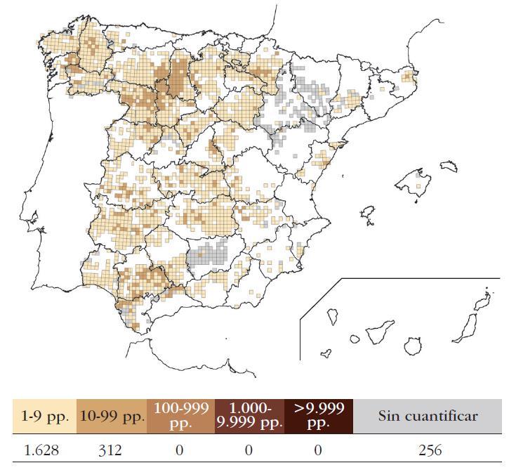 Amenazas Aunque el principal factor de su declive actuase en sus zonas de invernada (climatología adversa y caza), otros problemas locales pudieron contribuir a ello en España, como la pérdida de