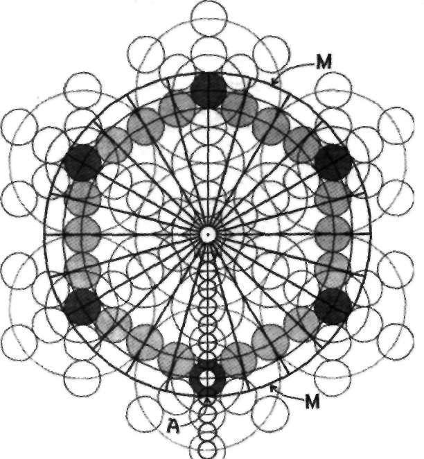 Dacă studiem la nivelul următor seria de cercuri de dimensiune redusă, precum cel mic din mijlocul desenului, veţi descoperi că există nouă diametre de astfel de cercuri mici între centrul desenului