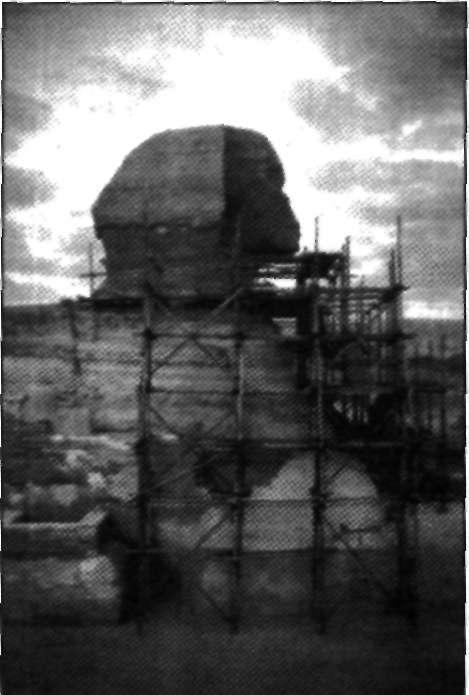 Fig. 11-6. Sfinxul cu învelişul capului plat. Schela arată că acesta s-a reconstruit sau s-a restabilizat.