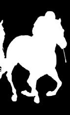 Anota tus apuestas Para caballos y yeguas de CUATRO AÑOS EN ADELANTE que no se hayan clasificado entre los cuatro primeros en un premio de 7.000 en el año. Peso: 64 kilos.