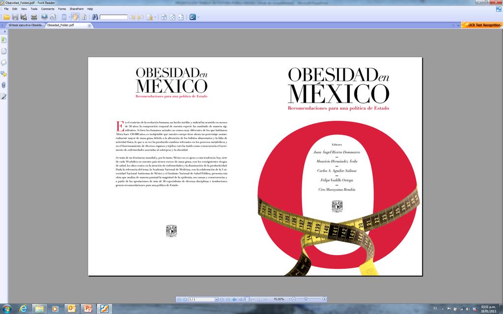 Recomendaciones de la Academia Nacional de Medicina/UNAM/INSP ante el problema de la Obesidad en México Juan Rivera Dommarco Coordinador del Grupo