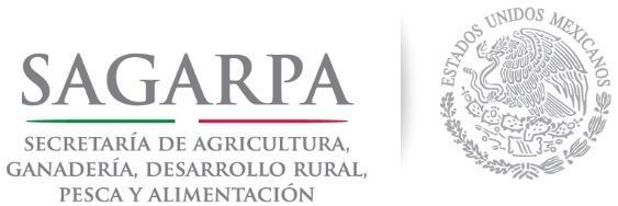 1. DATOS DE VENTANILLA: N de Folio PROGRAMA: Fomento a la Agricultura Integral de Desarrollo Rural Productividad y Competitividad Agroalimentaria X Fomento Ganadero Fomento a la Productividad