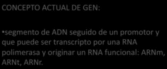 RNA: - ARNm - ARNr - ARNt - pequeños ARNs CONCEPTO DE GEN CONCEPTO ACTUAL DE GEN: segmento de ADN seguido de un promotor y que