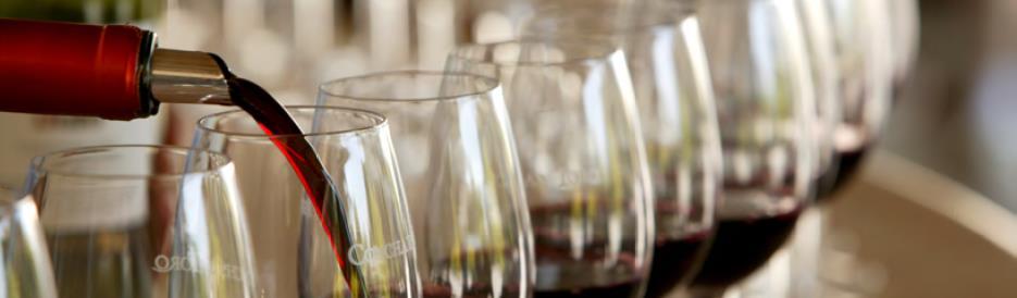 Posición de Liderazgo Concha y Toro es el líder en la industria vitivinícola chilena, tanto en el mercado nacional como de exportación.
