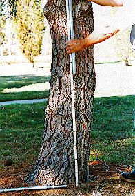 Varas graduadas Proporcionan un método directo para medir la altura de los árboles. Son instrumentos precisos, con errores menores del 1%. Más que varas son tubos usualmente de 1.
