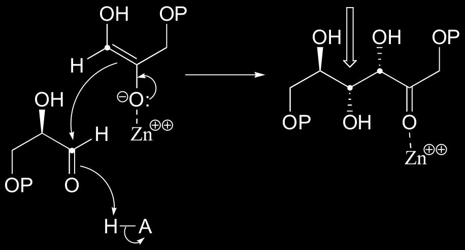 adición nucleófila, y la protonación del alcohol resultante conduce