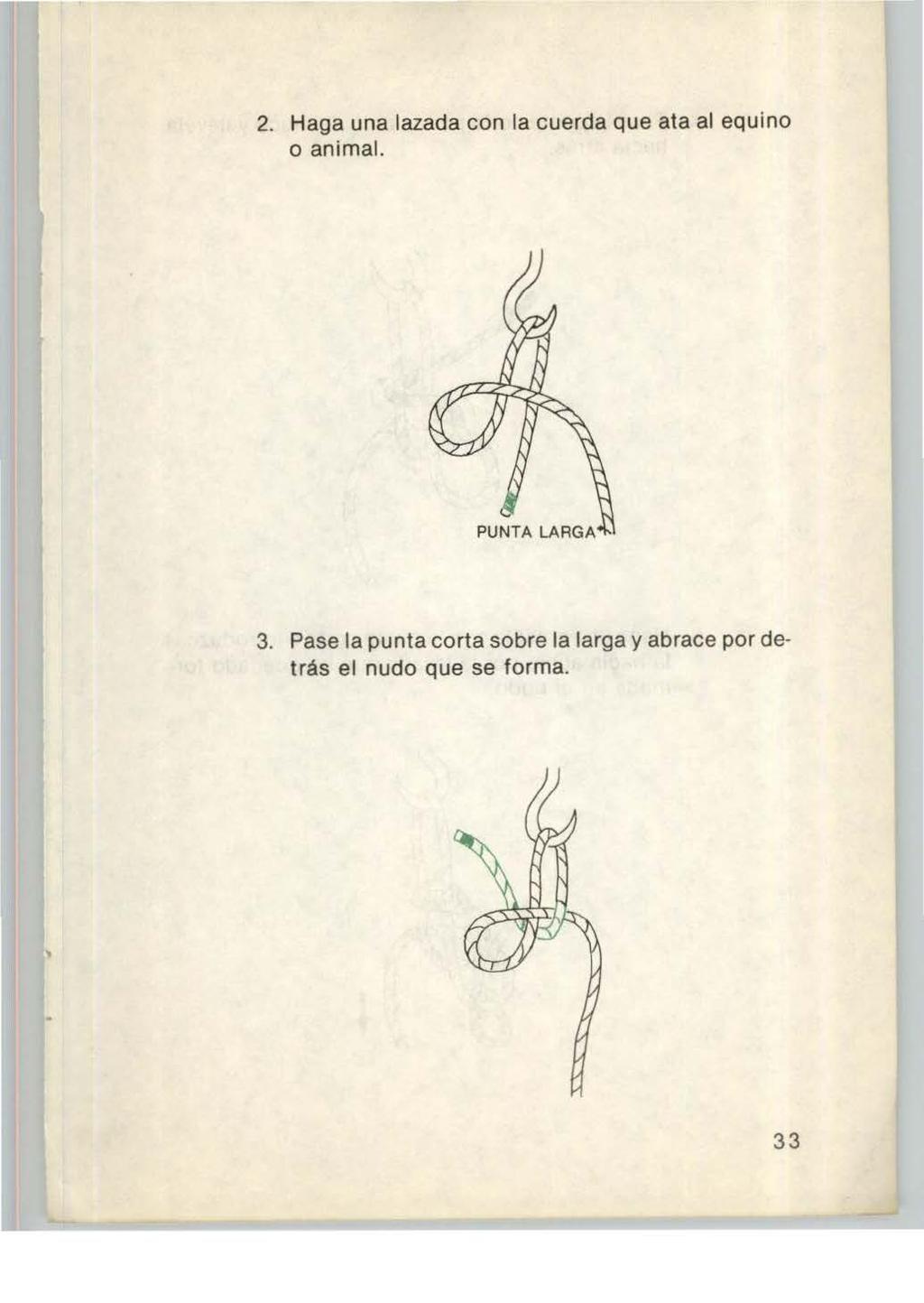 2. Haga una lazada con la cuerda que ata al equino o animal. 3.