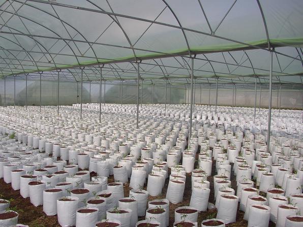 Problema: En un terreno dedicado al cultivo de plantas anuales, se hace una análisis de humedad del suelo para lo cual, se extrae una muestra de 350 gramos a