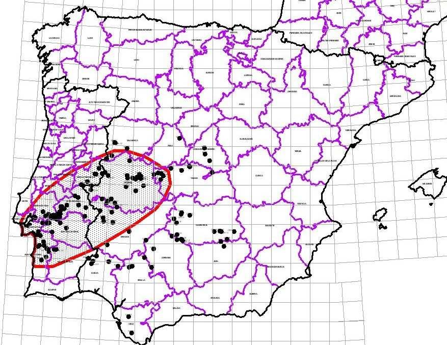 Figura 1. Localización de los dormideros de Paloma Torcaz activos en el Suroeste de la Península Ibérica. El área sombreada con trazo rojo se corresponde con el área principal de invernada.