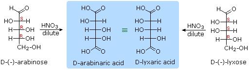 Forma cíclica de los monosacáridos Disacáridos Están formados por dos monosacáridos, A y B en los siguientes diagramas. El enlace glicosídico está en azul. Este enlace puede ser α o β.