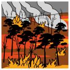 PROBLEMAS En un bosque había 548 pinos y en un incendio se quemaron 329.