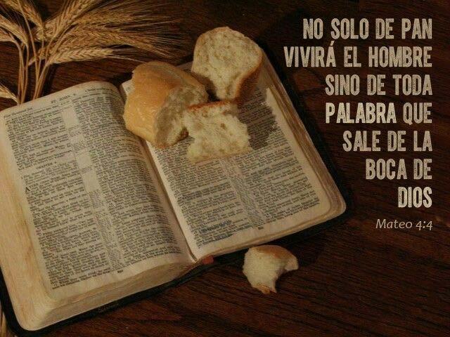 Por eso, la Iglesia pide «que nos hagas sentir hambre de Cristo, pan vivo y verdadero, y nos enseñes a vivir constantemente