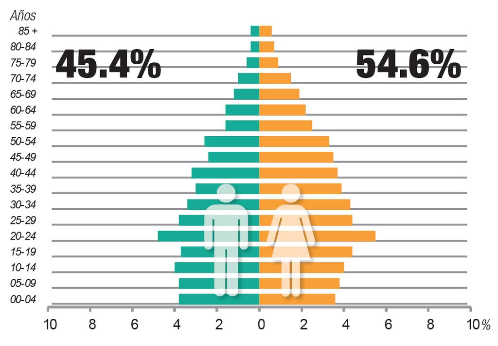 Población Pirámide de población Cómo está
