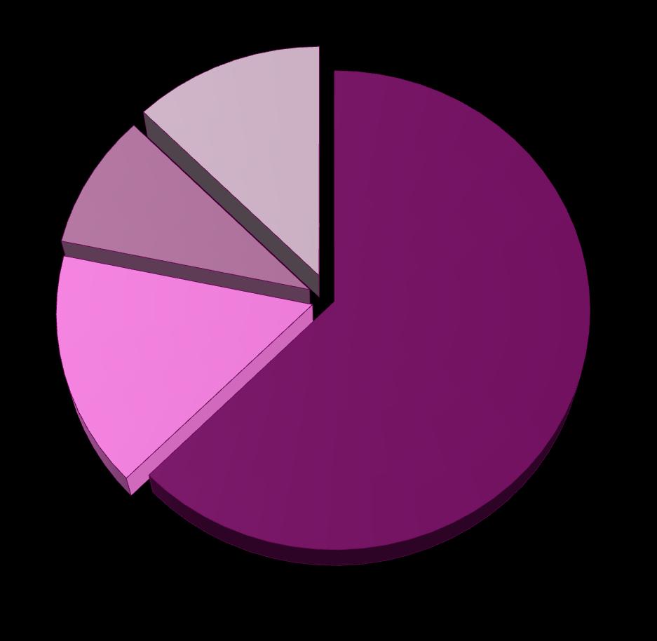 región (62.5 %) Familia / Amigos 15.