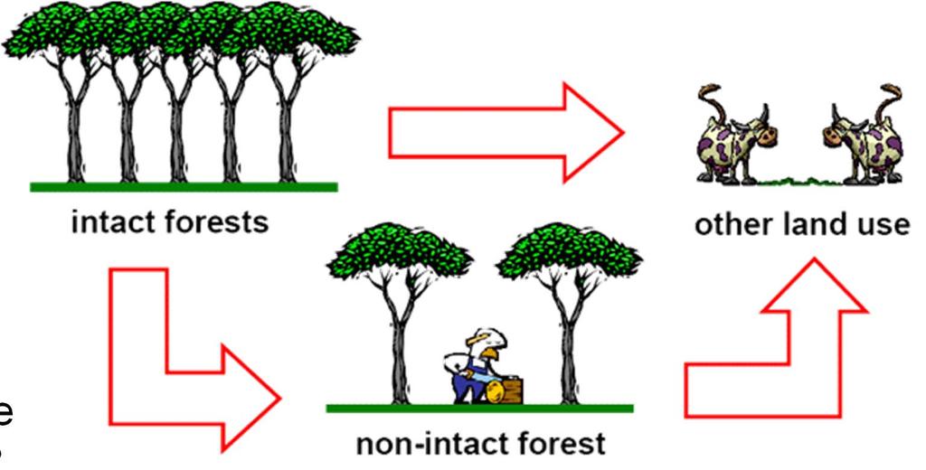 Deforestación/degradación Cambio de uso de la tierra?
