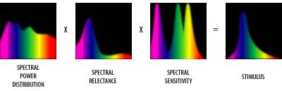 por los conos Curvas de respuesta espectral de los 3 tipos de