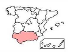 Distribución geográfica de los patotipos D y ND de Verticillium dahliae que infectan olivo en Andalucía (217) Basado en 427 olivares elegidos arbitrariamente en 123 municipios en Andalucía: El