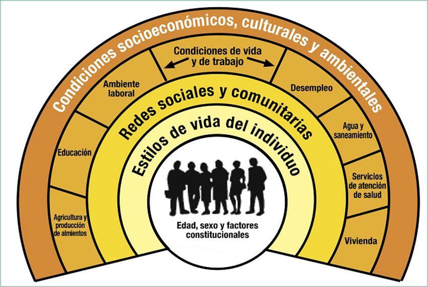 FUNDAMENTOS DEL MODELO Determinantes Sociales.